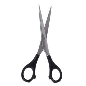 AJOT Professional Scissor 5.5 inches